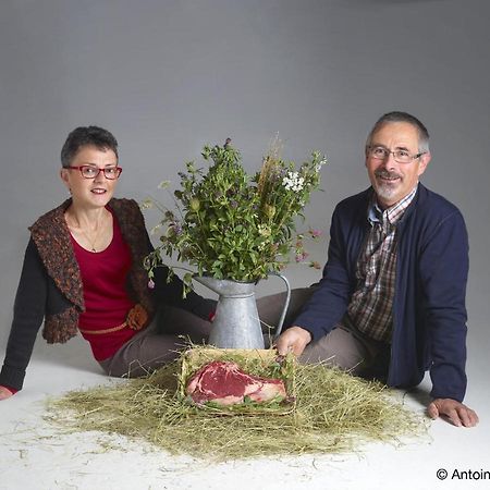 Bed and Breakfast Ferme Du Pigeonnier Montceau-et-Echarnant Esterno foto